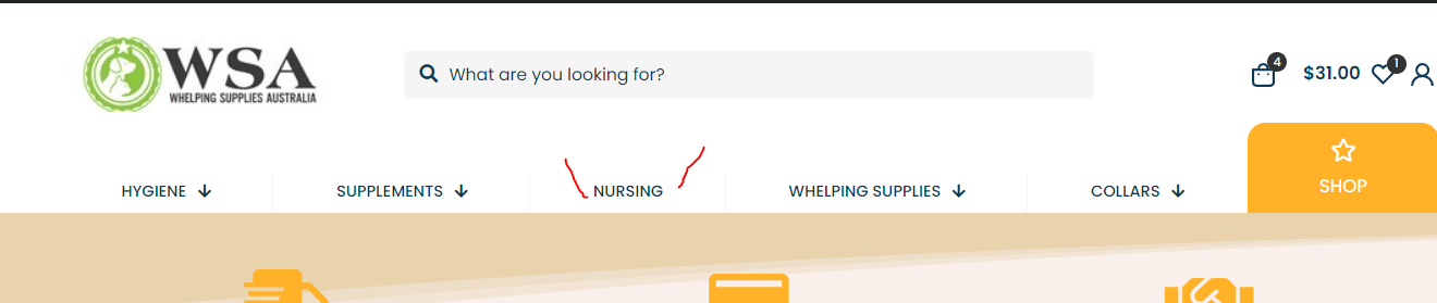 nursing dropdown missing.PNG