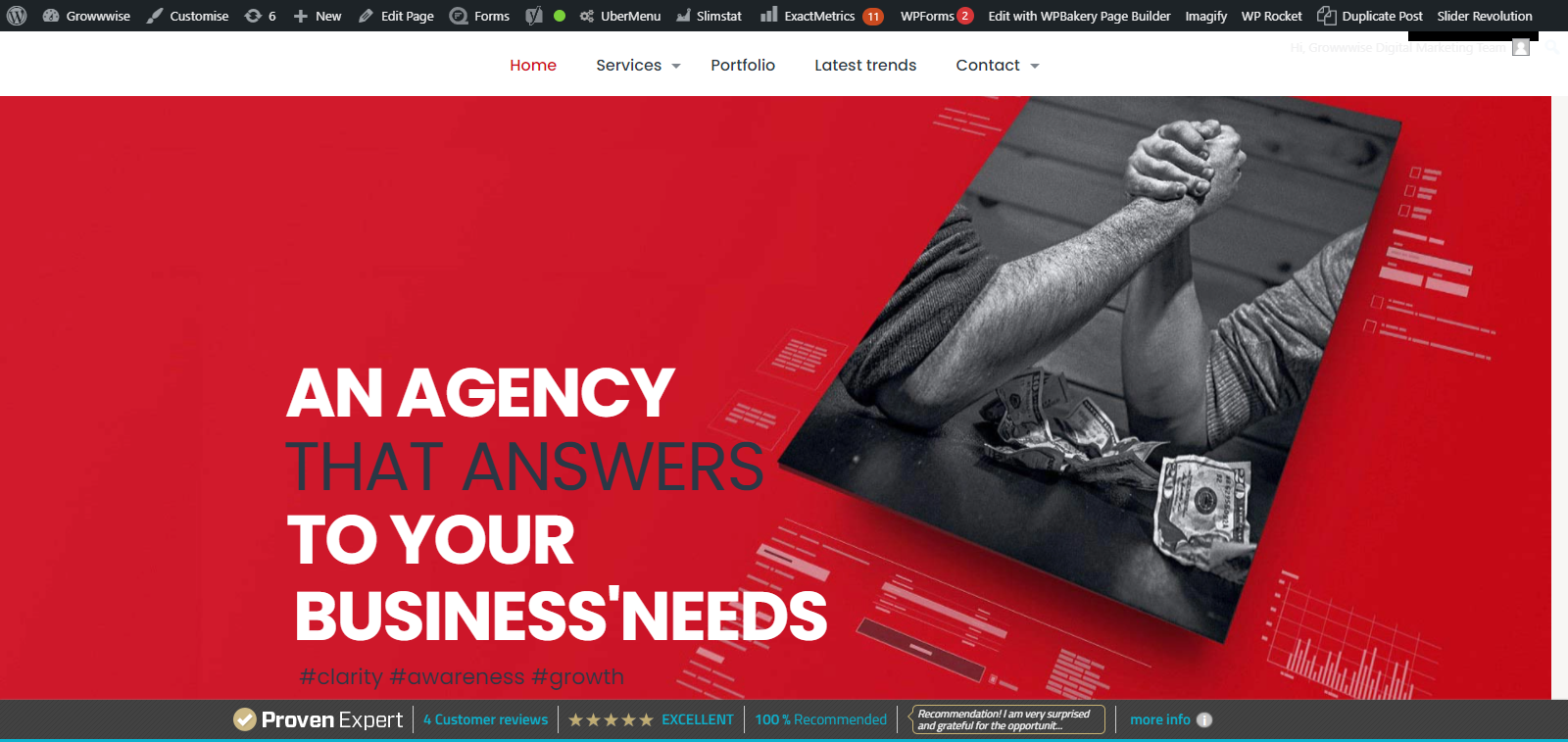 FireShot Capture 286 - Digital Marketing Agency ✅ Web Design and SEO - growwwise.com.png