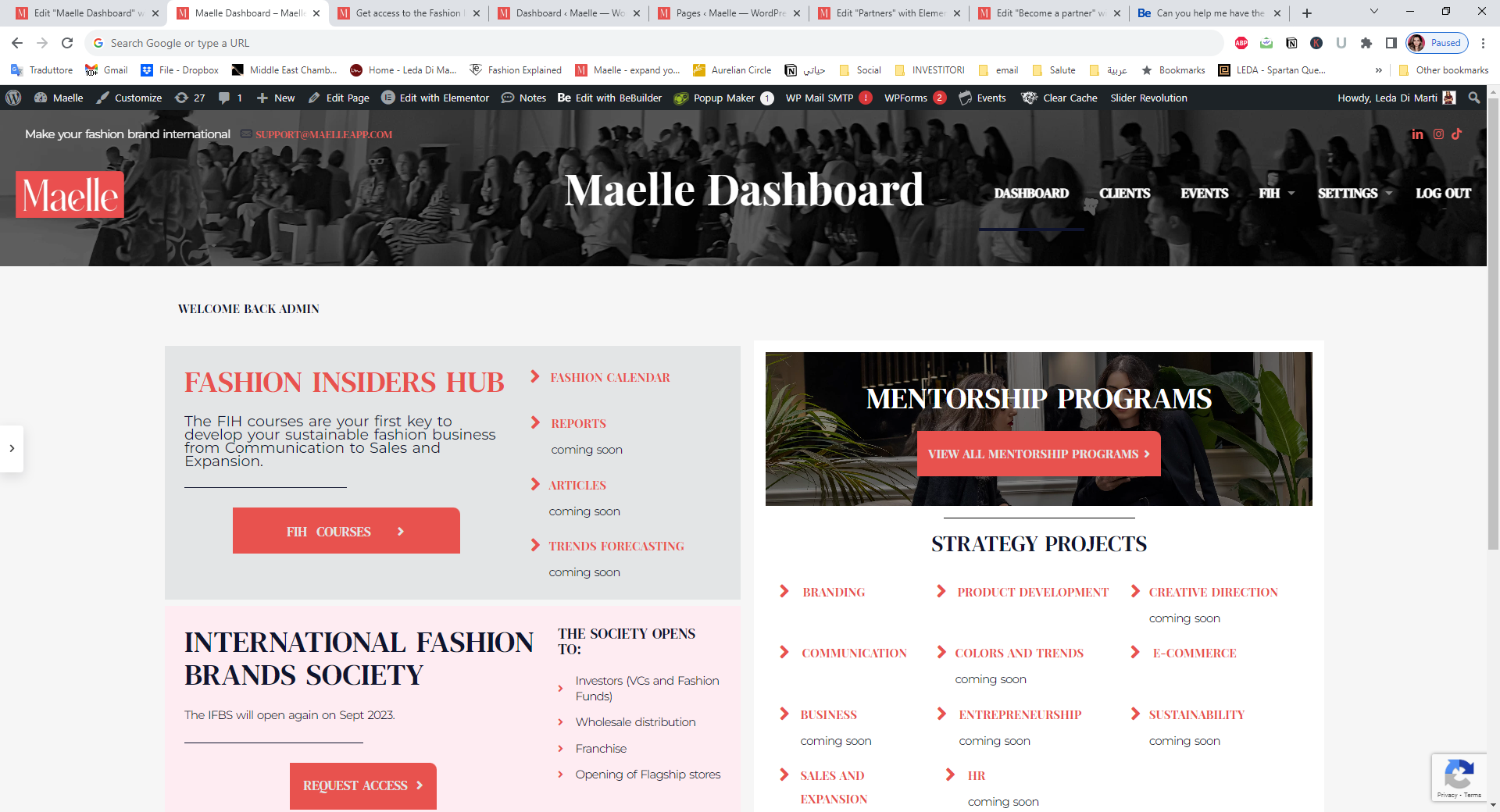 Edit _Maelle Dashboard_ with Elementor - Google Chrome 24_08_2023 11_16_06.png